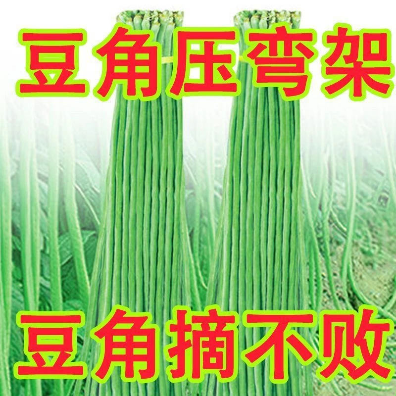 【全场满5元包邮】高产长豆角种子青长架豇豆种子摘不败黑眉一号