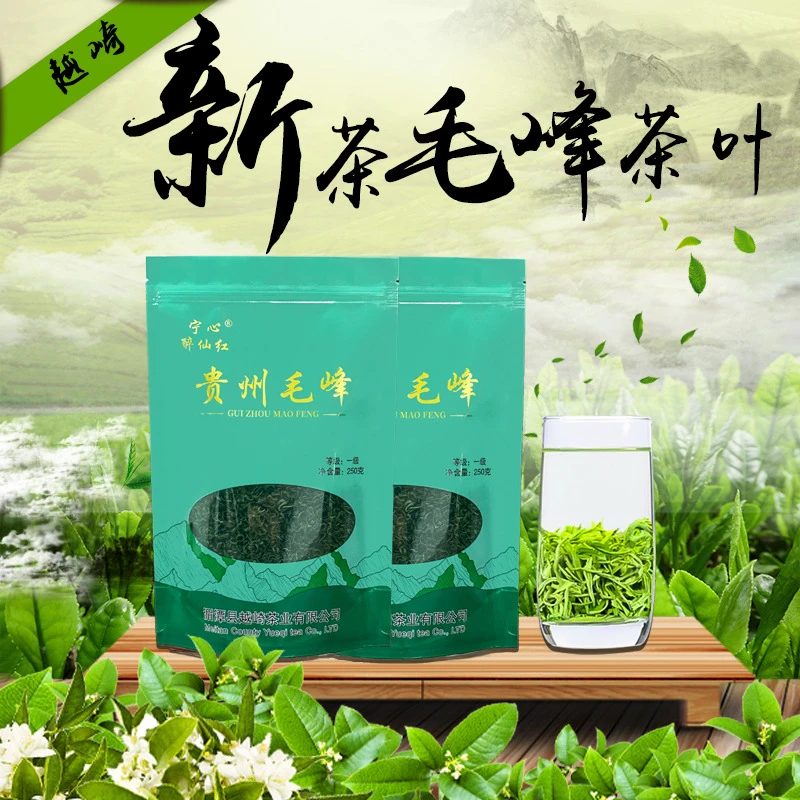【贵州毛峰】 2025新茶 贵州高山云雾绿茶 浓香型板栗香 YWZ2