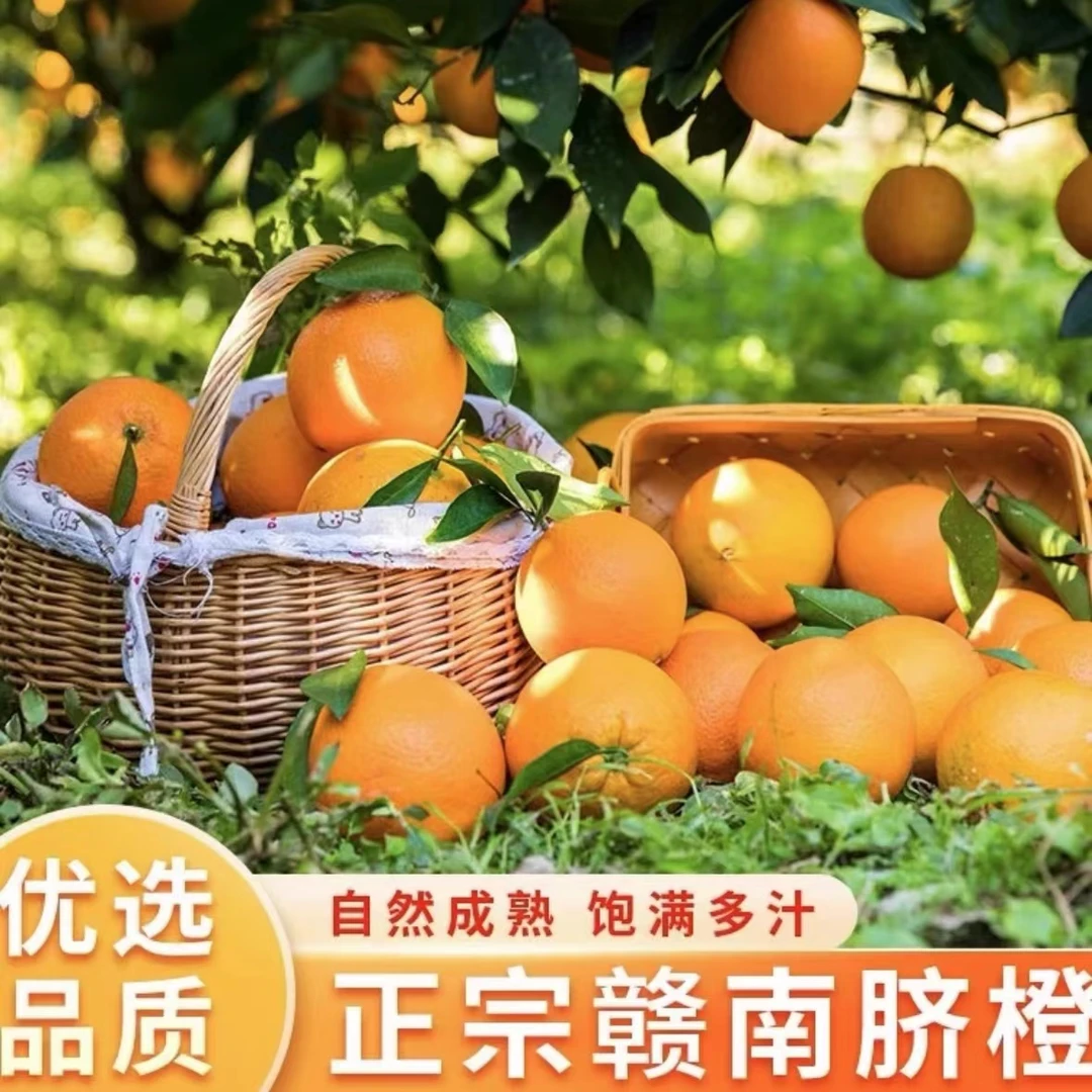 江西赣南脐橙  果径55mm-80mm+  1斤-9斤净重 现摘先发新鲜多汁
