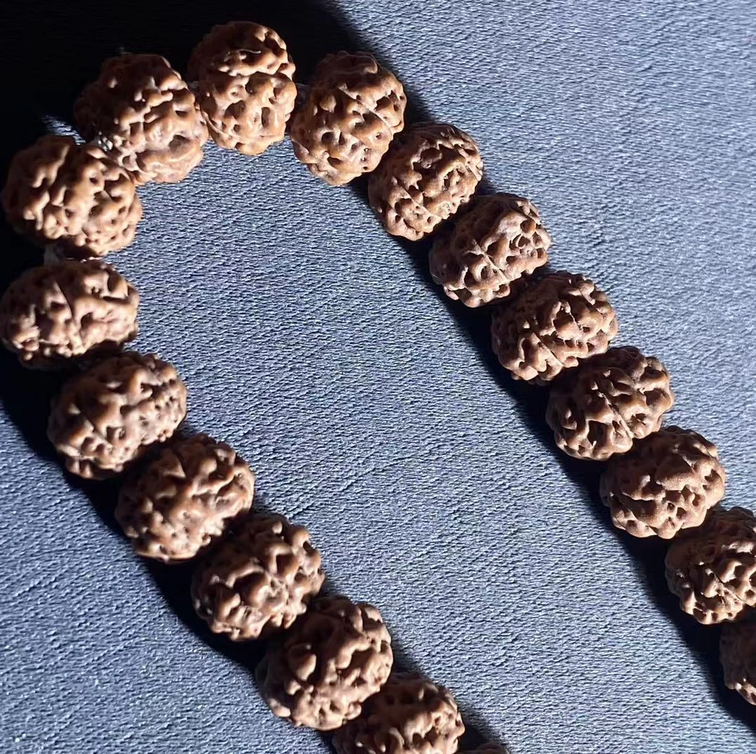 「战神树祖」非嫁接原生态勿里达单圈小金刚