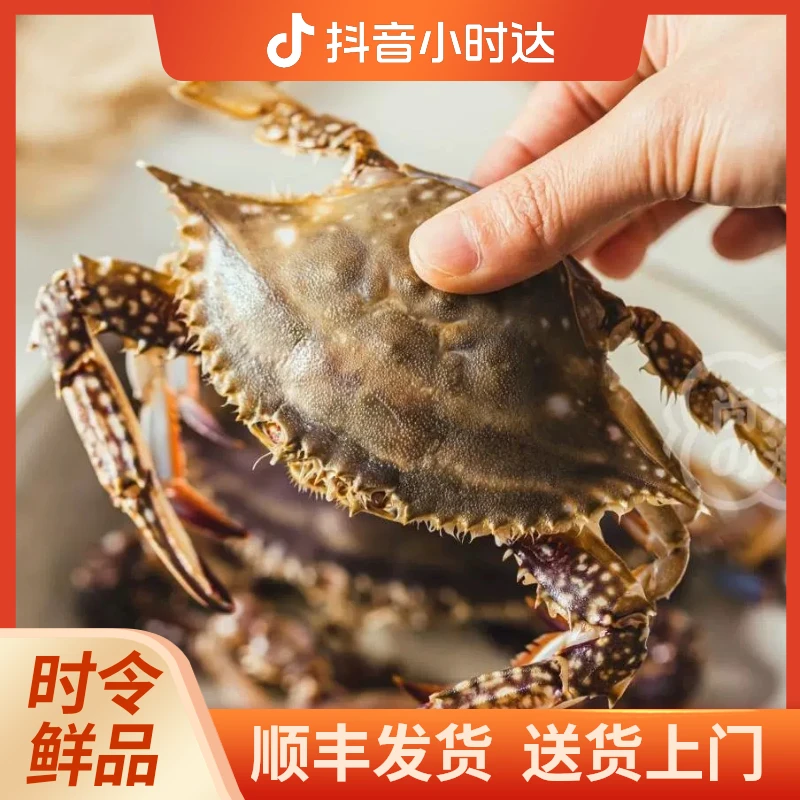 梭子蟹 单只规格2两左右 (介意小的勿拍) 活发压冰 部分掉腿