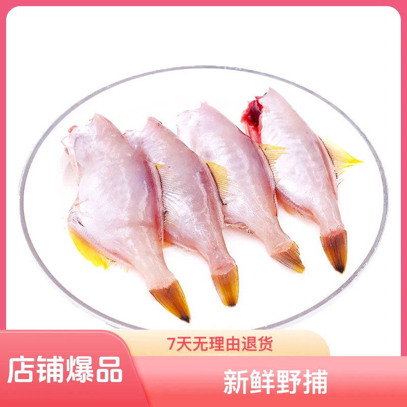 【正圆迪剥皮鱼】潮汕惠来渔港新鲜野捕鱼虾蟹正圆迪冷链品质包赔送