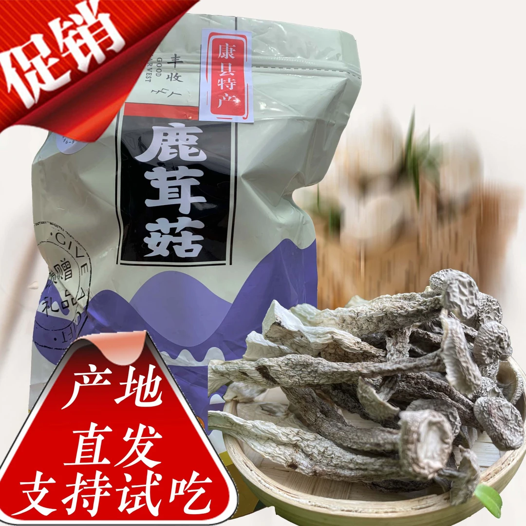 甘肃康县鹿茸菇高山脆脆菇鹿茸菇干货爆炒鲜香年货