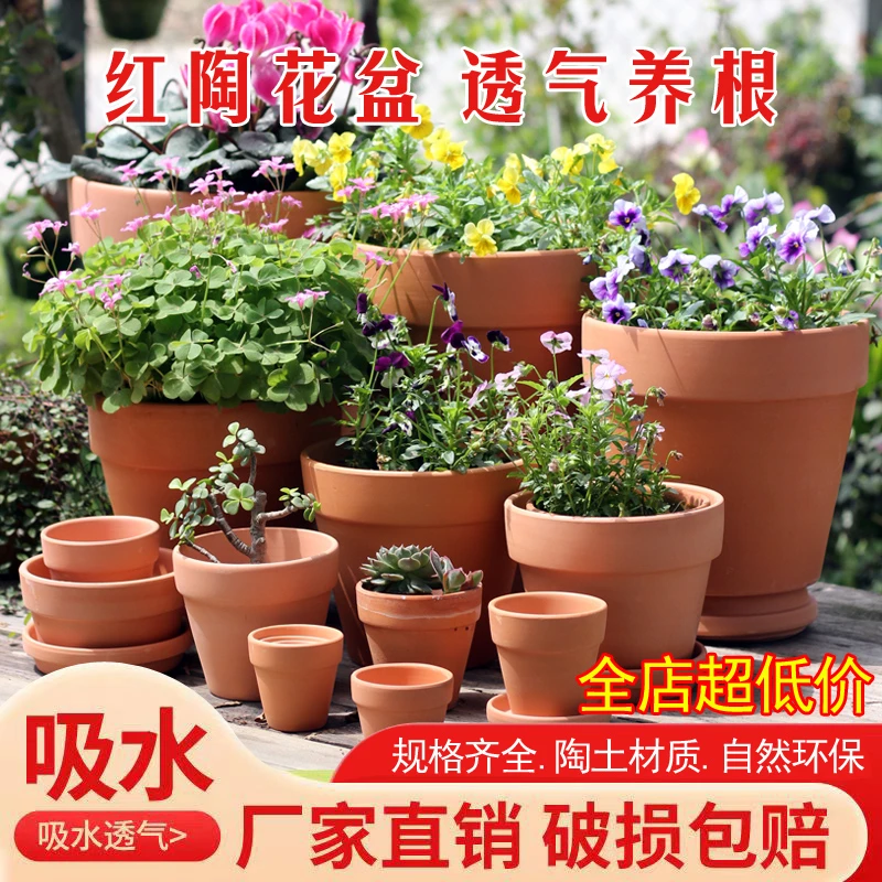 红陶陶土花盆迷你多肉植物盆室内绿植园艺盆栽泥瓦透气简约育苗盆