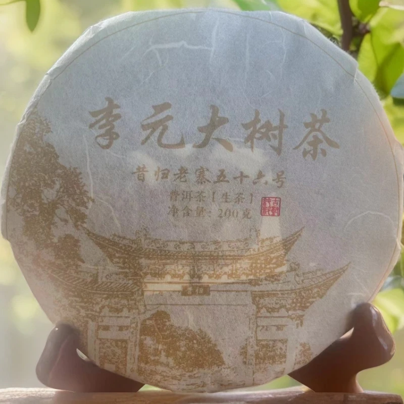 昔归老寨五十六號2023大树春茶【普洱茶】生茶 紧压茶