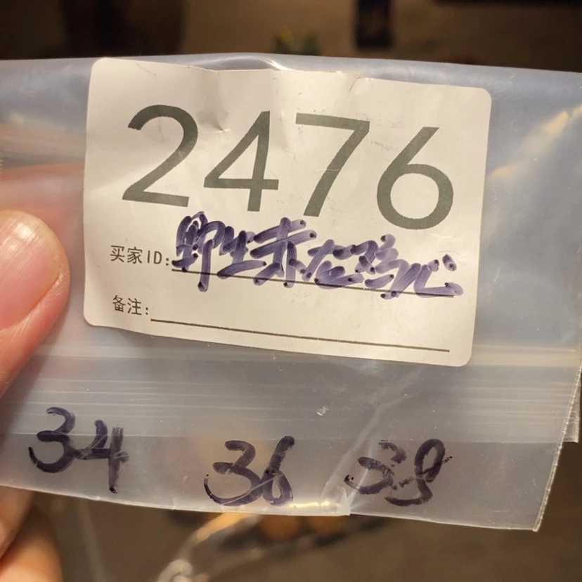 【闪购商品】文玩核桃吊坠深**归