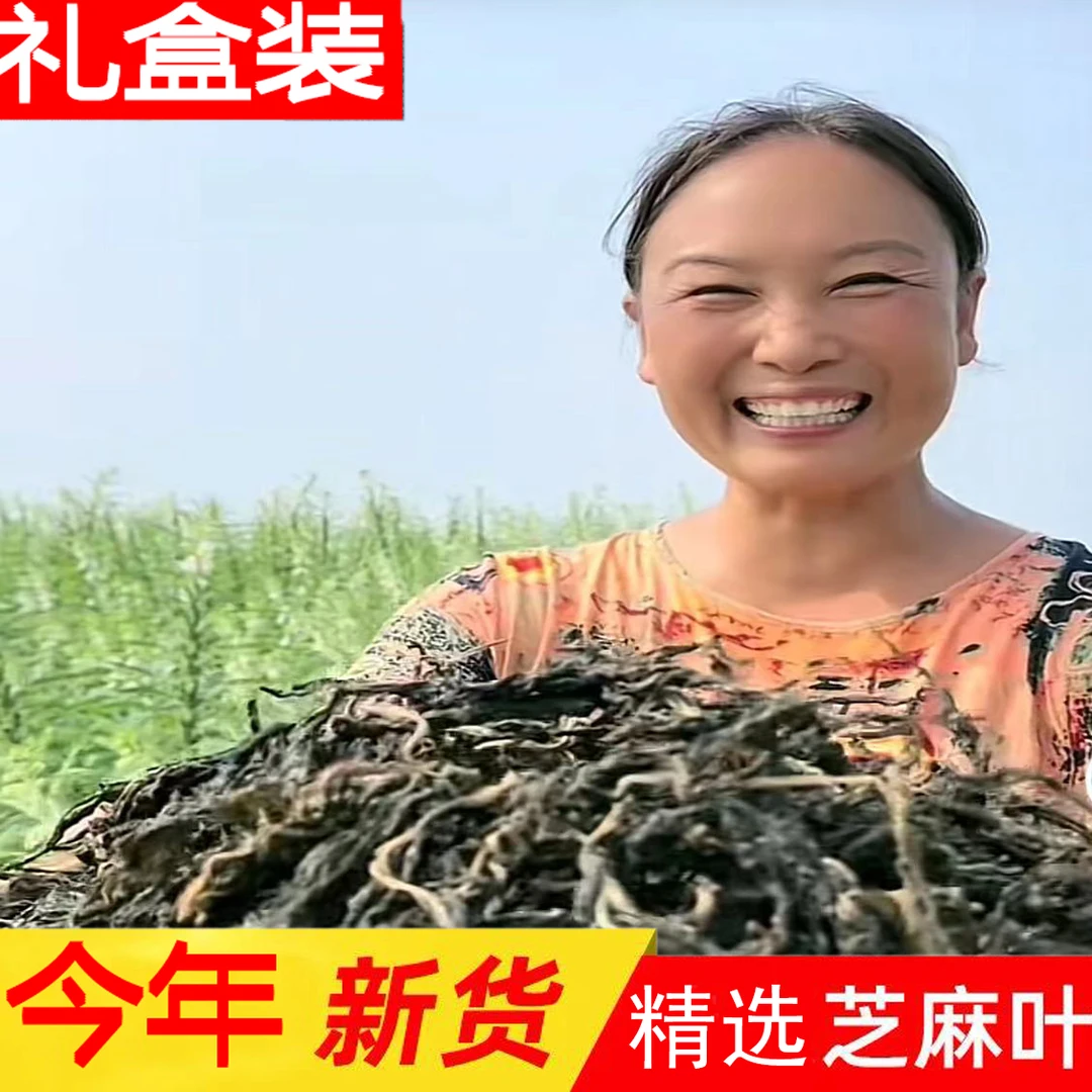干芝麻叶新货农家晒制脱水芝麻叶河南特产晒干芝麻叶500g