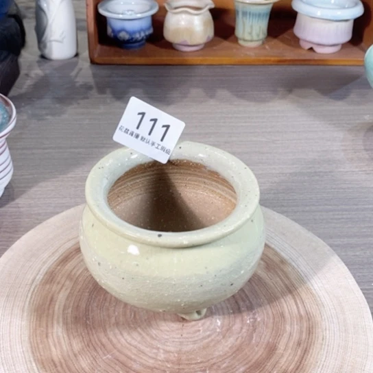 红陶20CM（含）-50CM（不含）福利