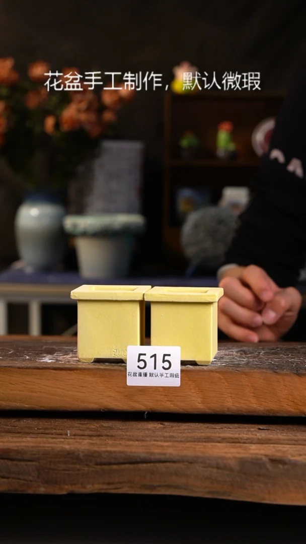 【闪购商品】陶瓷花盆