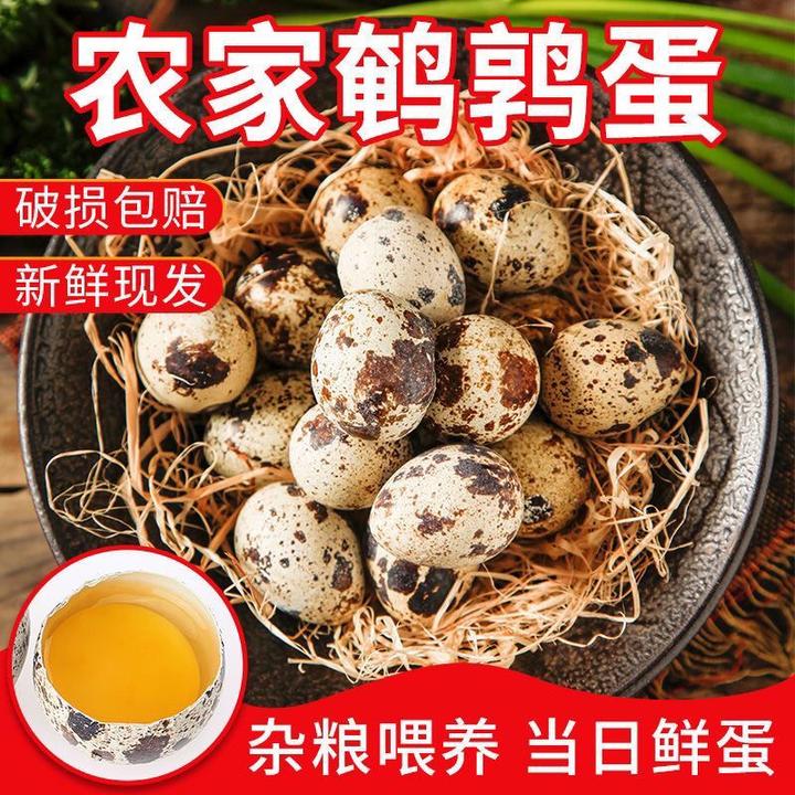 养殖户现捡鹌鹑蛋杂粮喂养当日新鲜优质健康破损包赔生鲜孕妇宝宝