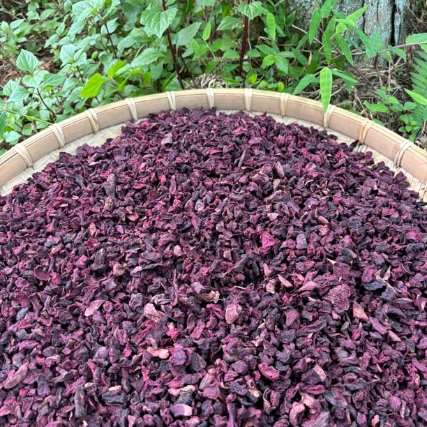 现收山货～玉容丹干货土特产