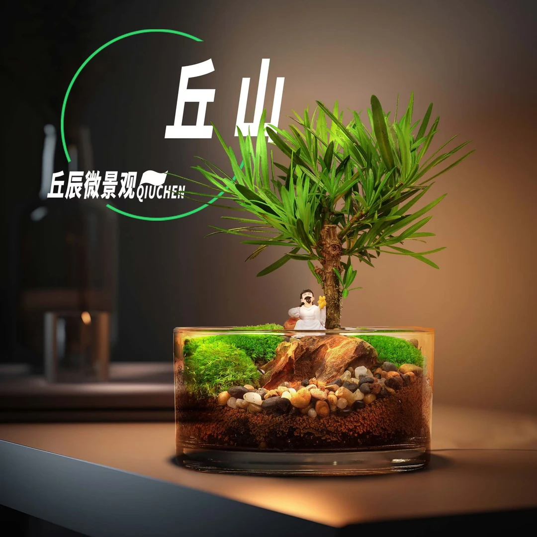 丘辰方寸间-丘山 鲜活桌面苔藓微景观流水养鱼伴手生态瓶礼物高端