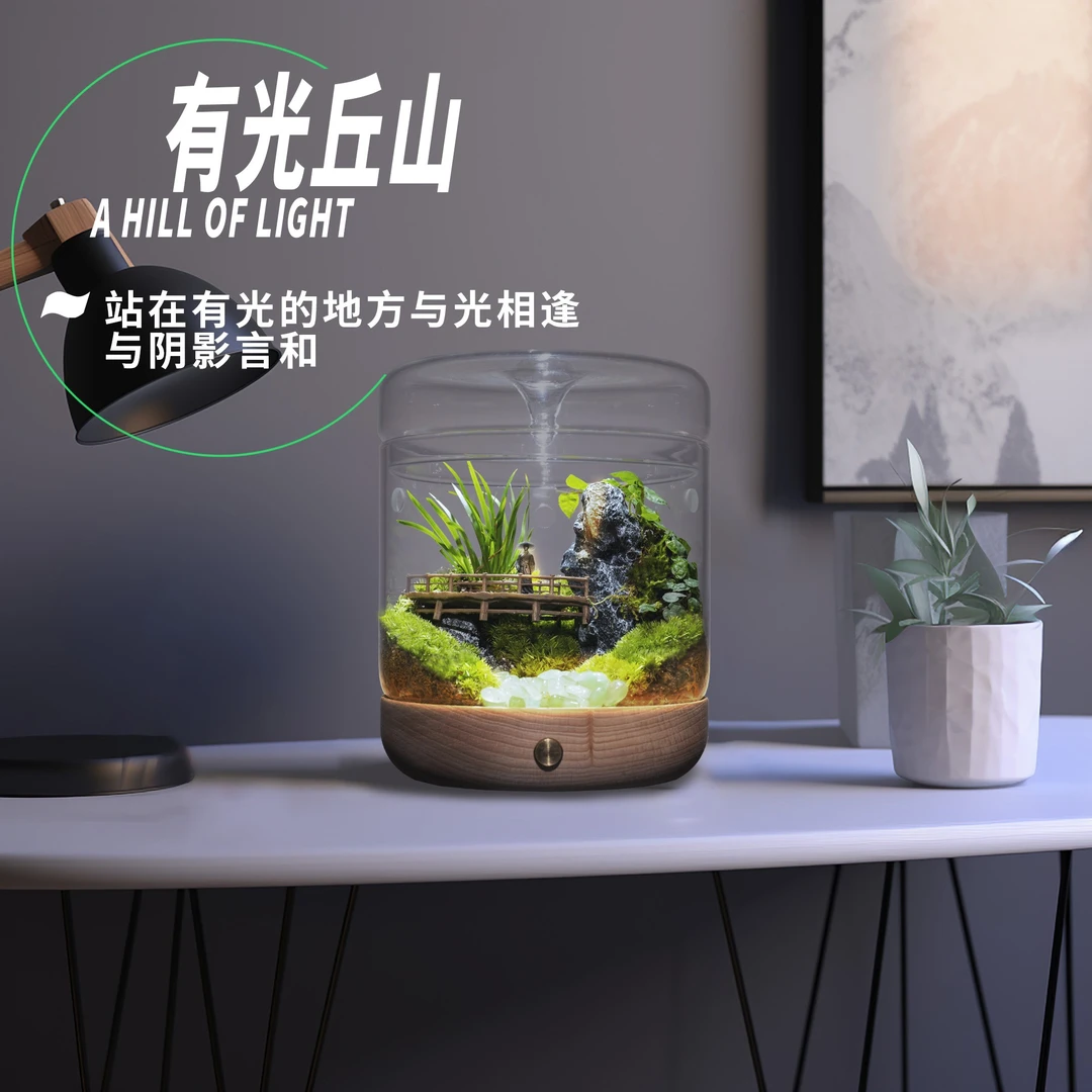 【有光丘山】新款成品桌面微景观创意办公室植物景观客厅生态瓶养护