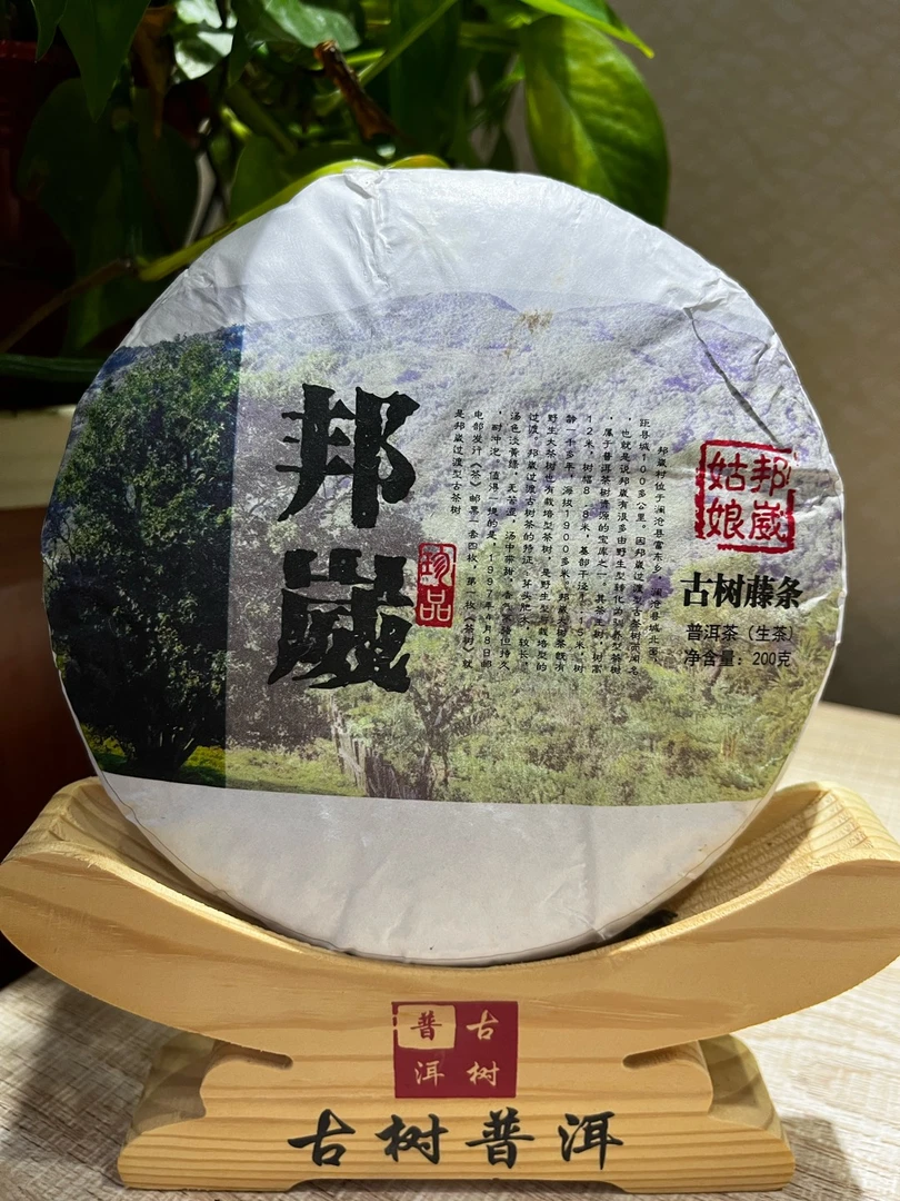 2025年普洱邦崴古树茶春茶200克