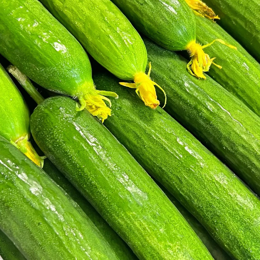 （整果）水果黄瓜500g