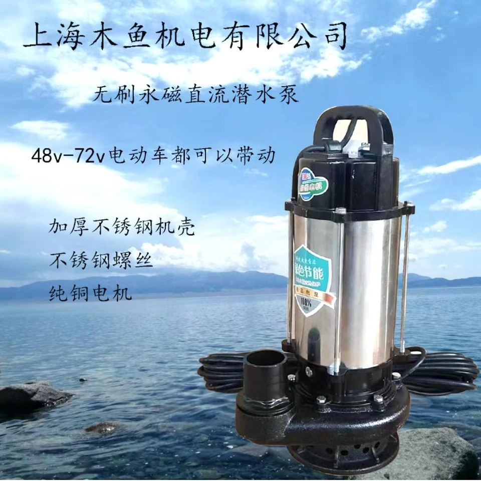 电动车水泵2.5寸口不锈钢款智能无刷直流潜水泵48v－72v通用款