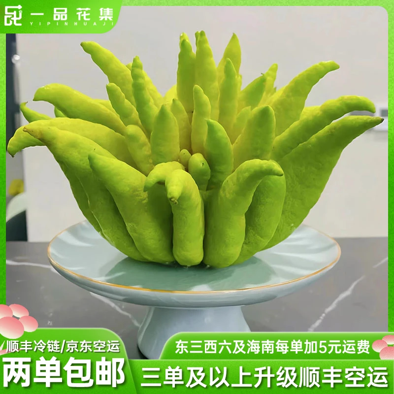 【一品花集】800-1000克左右佛手柑造型不指定任意满两单包邮