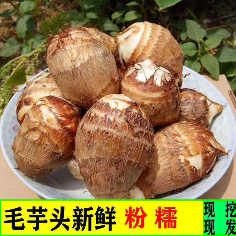 云南新鲜牛奶小芋头农家自种自销毛芋头香芋牛奶小芋头