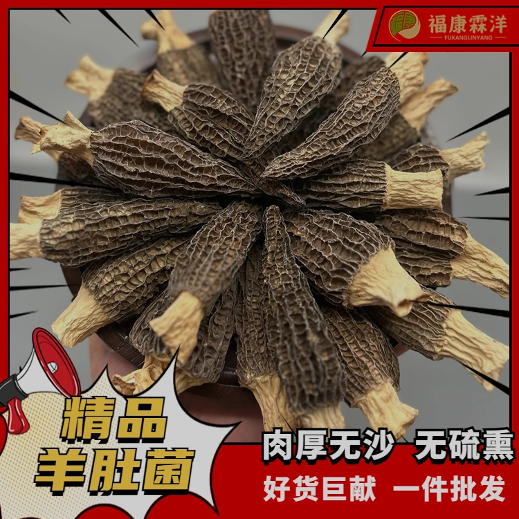 【产地直发】四川当季新货精品羊肚菌头茬肉厚食用美味煲汤