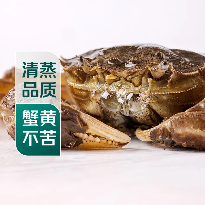 鲜活六月黄大闸蟹1只 2两起