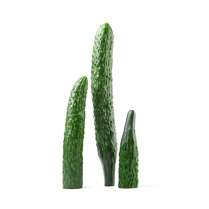 紫溪山嫩黄瓜约550g
