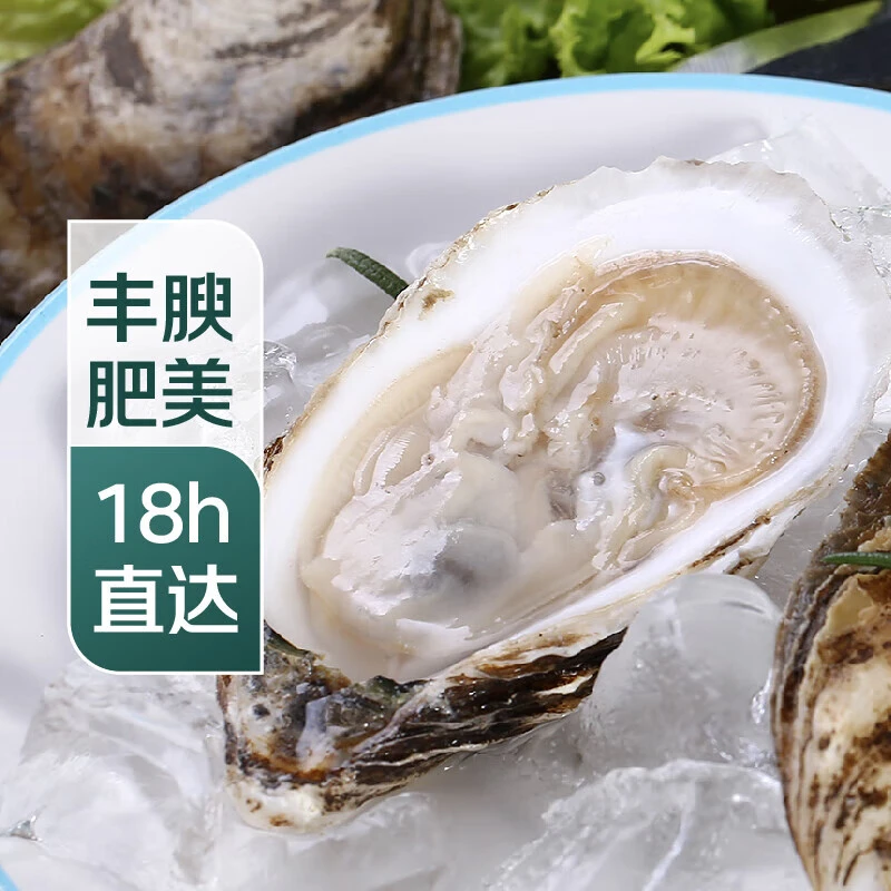鲜活乳山生蚝90-110g/个（10只起售）