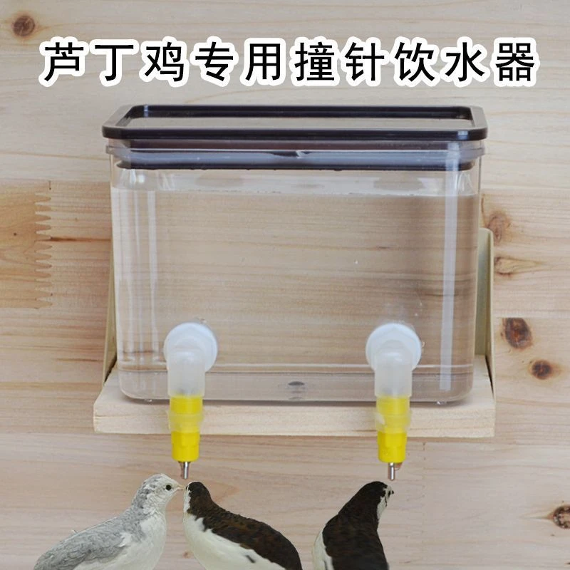 芦丁鸡撞针饮水器鲁冰全自动饮水器鹌鹑雏鸡鲁冰双封水撞针饮水头