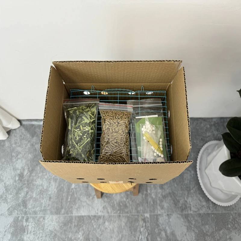 宠物运输笼加运输箱 顺丰包邮一旦发出 不退款不拒收