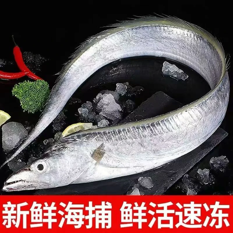 正宗国产整条大号带鱼刀鱼黄海小眼带鱼 4+1 冷冻箱装无破肚