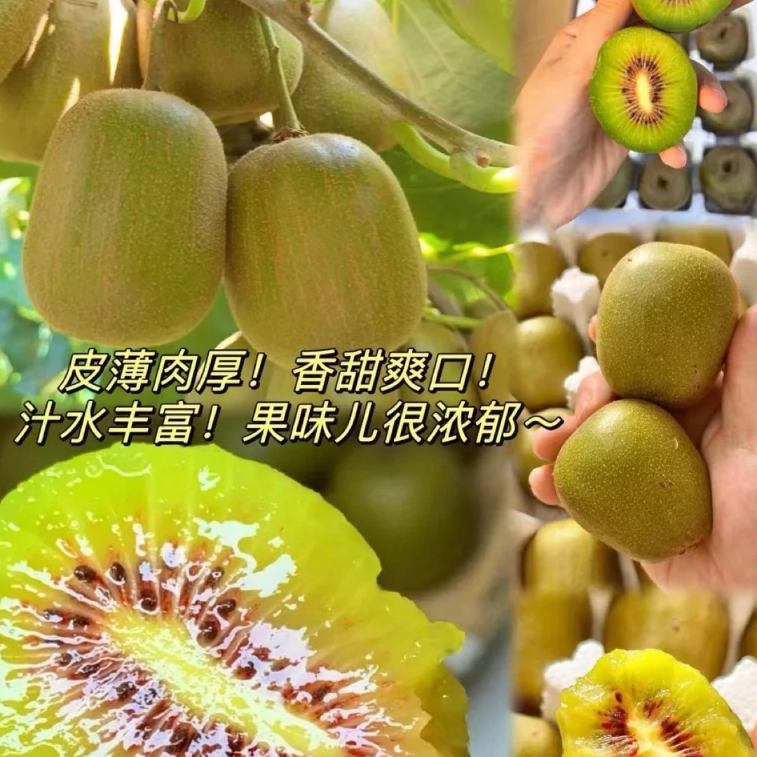 正宗高山猕猴桃新鲜水果 孕妇儿童老人当季水果包邮