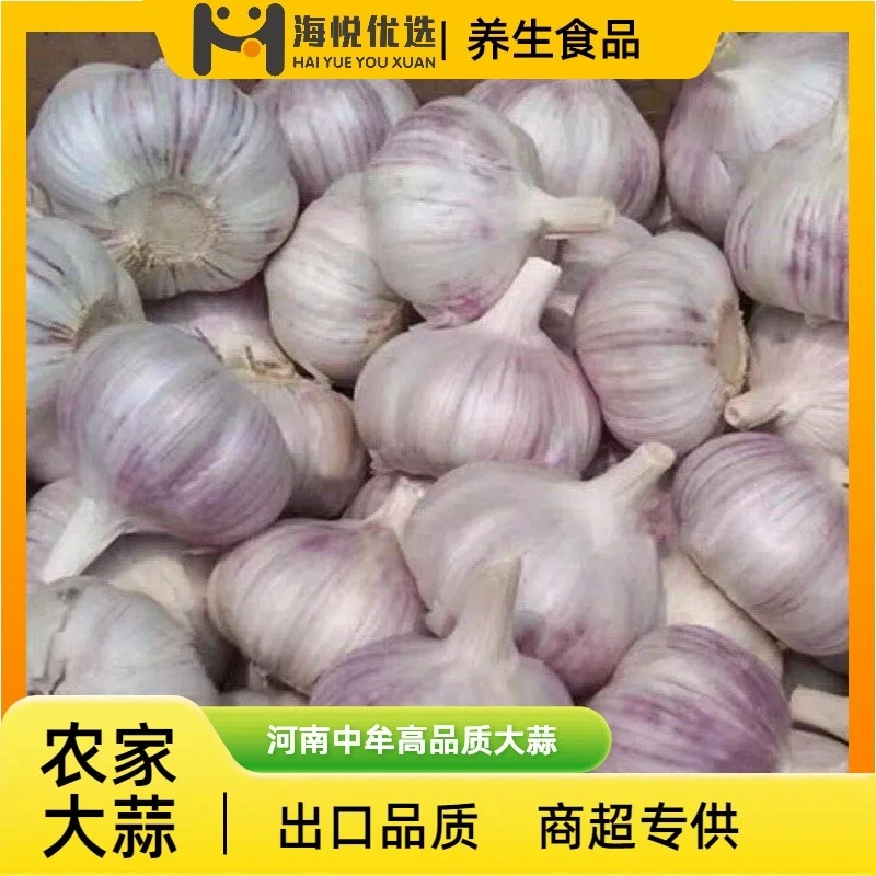 【海悦专享2】中牟精品大蒜口感独特农家大蒜