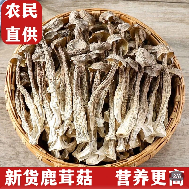 鹿茸菇干货250g包邮食用美味挑选甄选脆脆菇鹿茸菌新鲜干货50g