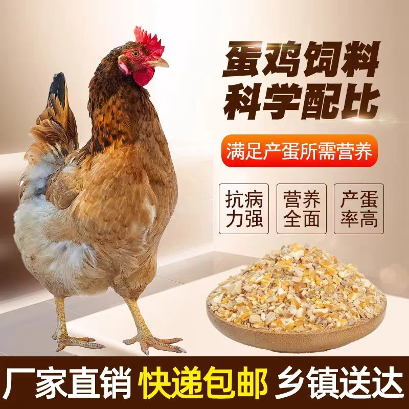 麻羽鸡饲料 开口雏鸡专用饲料营养精选厂家直销抗病快递