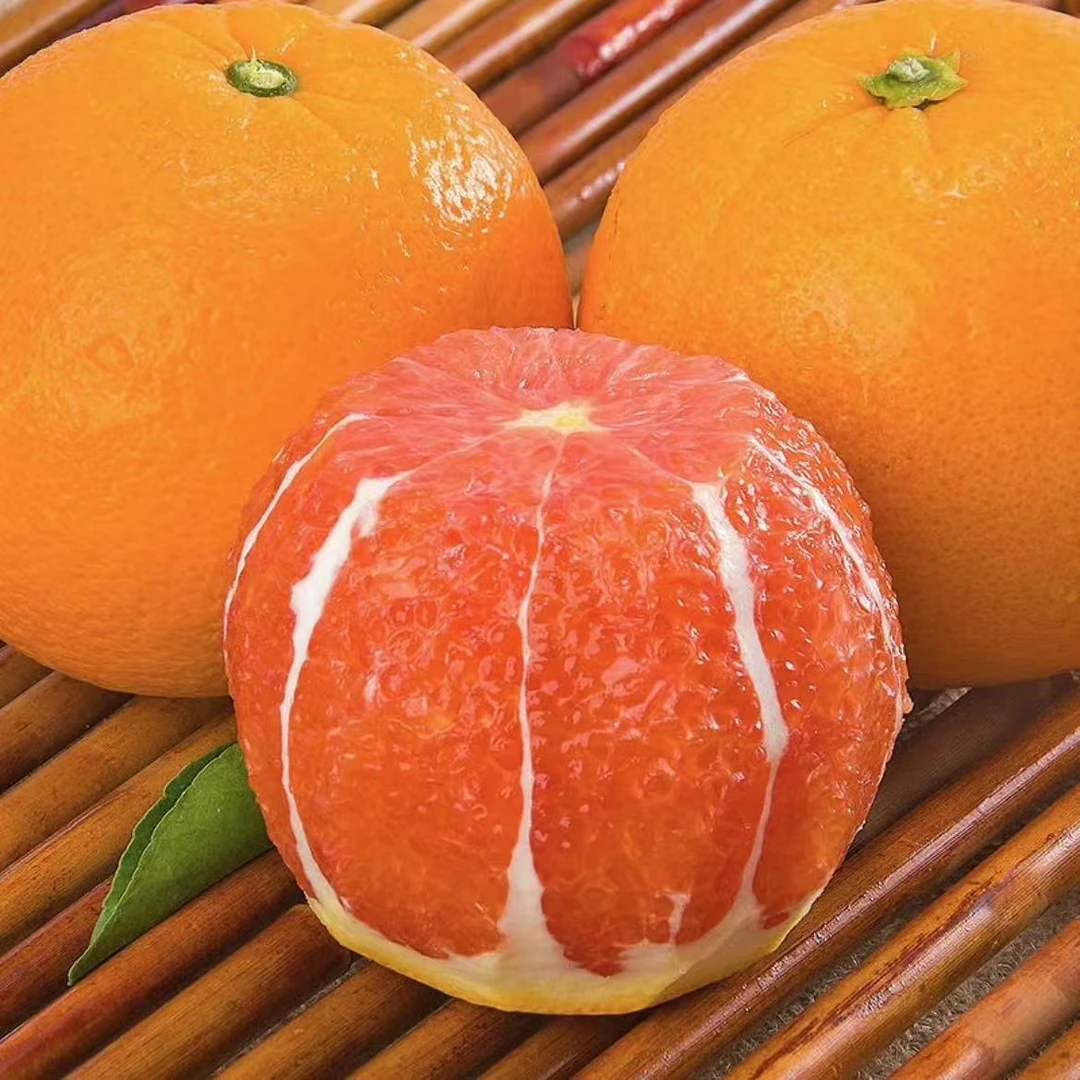 【枫香悠果】中华红橙5/9斤 新鲜应季橙子