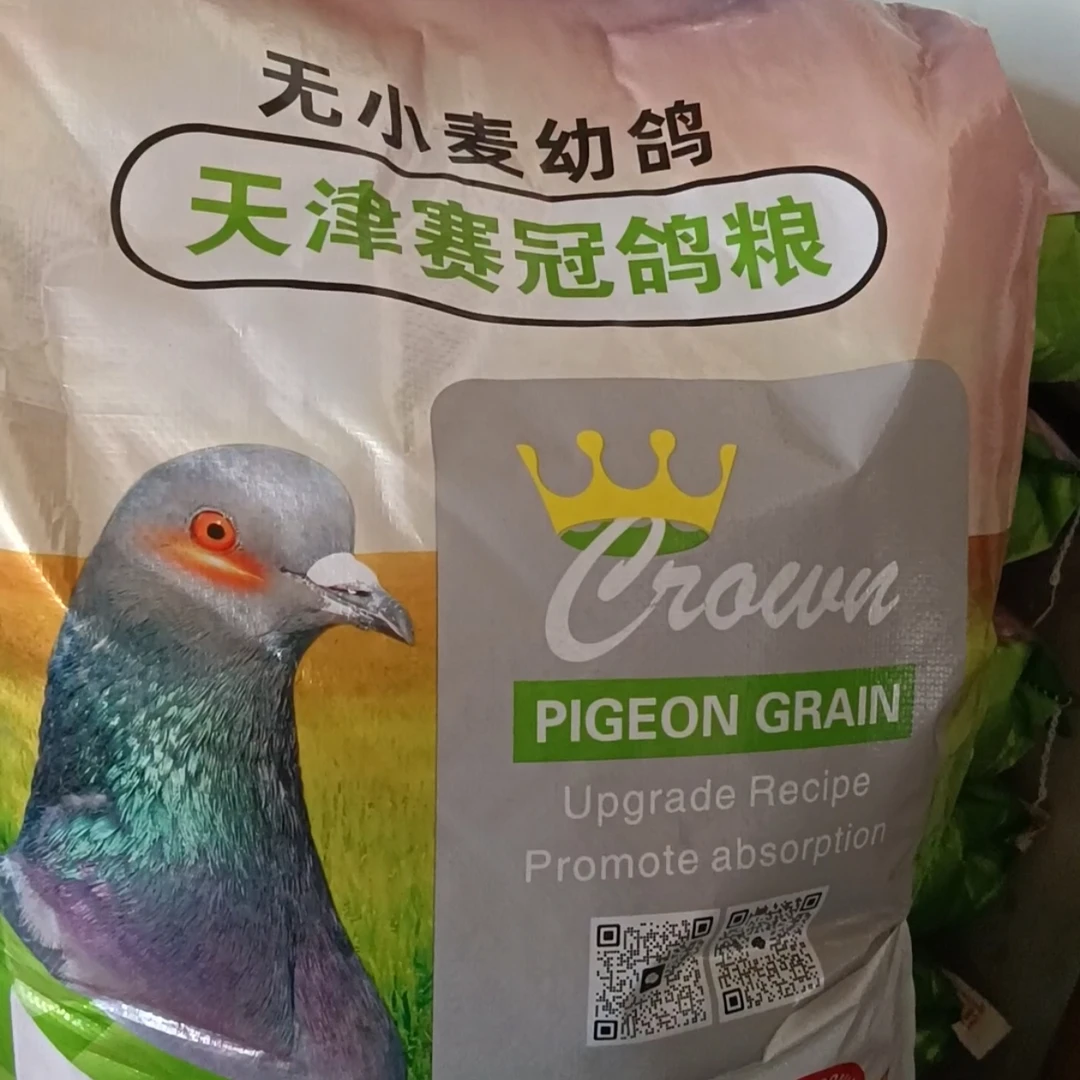赛冠无小麦幼鸽鸽粮
