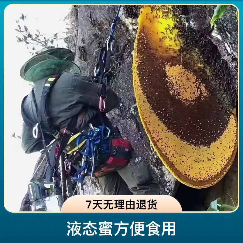 百花蜂蜜云南悬崖蜂蜜海拔三千米以上高山崖蜜中黄金崖排蜜原巢蜜