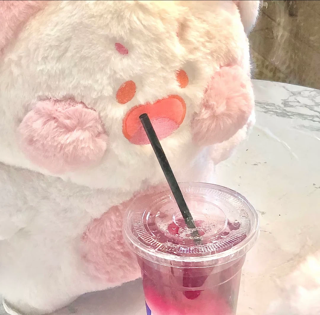 LF-24新国潮（666毛绒外套）高克重卫衣