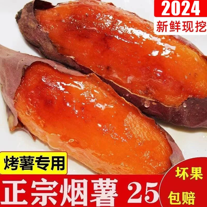 山东烟薯25号蜜薯糖心新鲜红薯包邮红心地瓜农家沙地番薯烤山芋