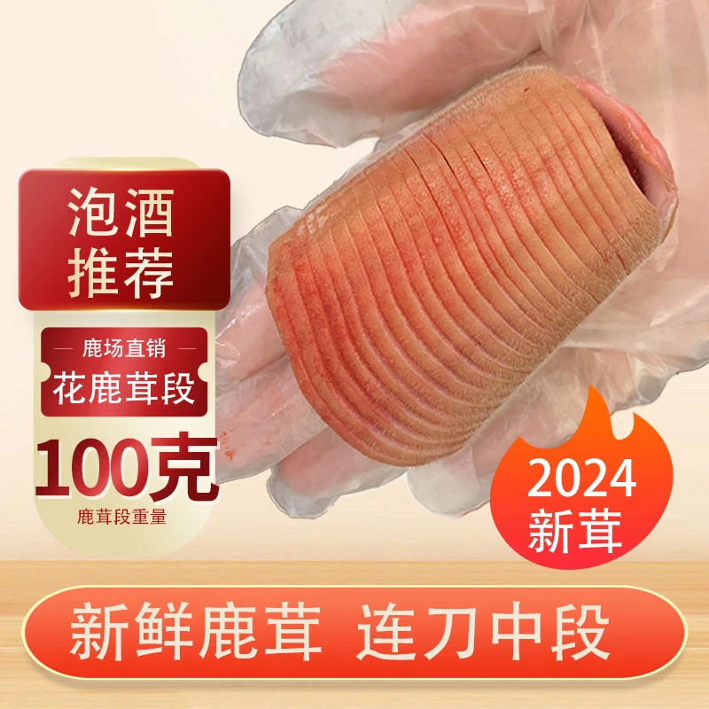 新鲜花鹿茸段 切连刀片 100克 头茬二杠切段 泡酒