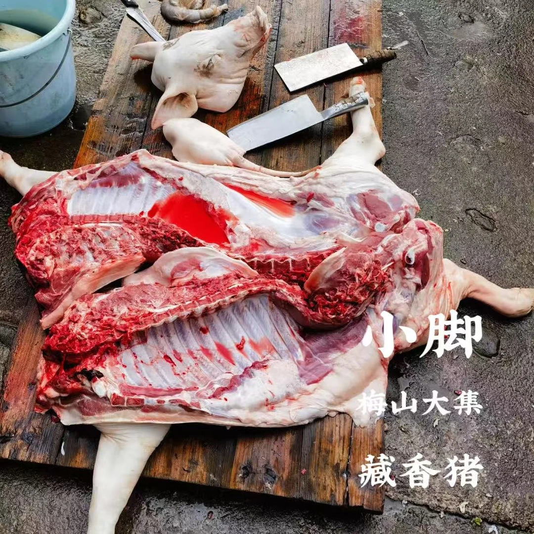 【小脚藏香猪京东包邮】新鲜现杀藏香猪肉