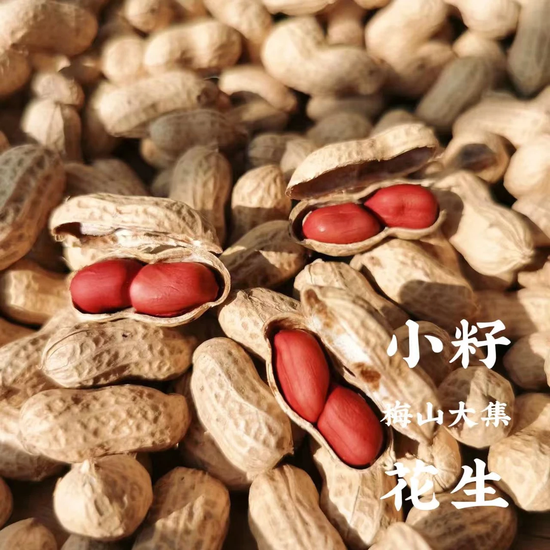 【吉庆小籽红皮干花生】新化吉庆红皮小籽花生带壳自种晒干2斤/4斤