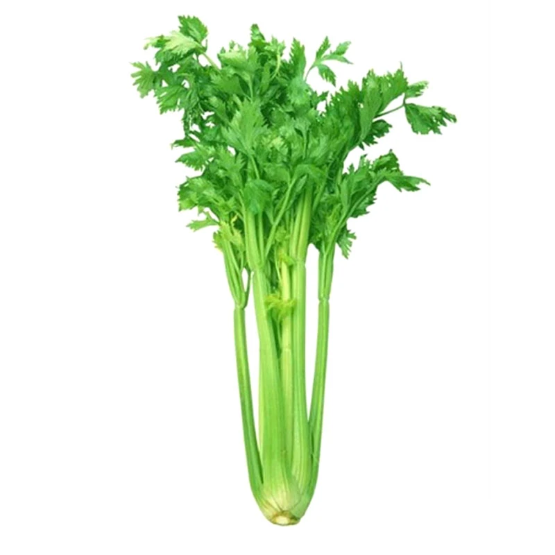芹菜 450g—550g