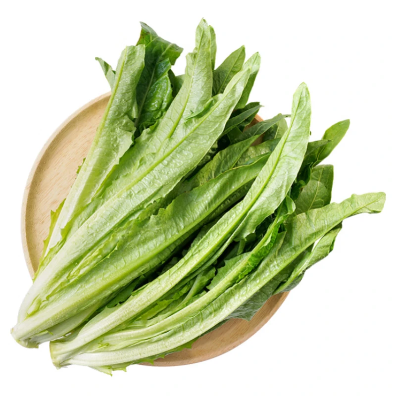 油麦菜 350g—450g