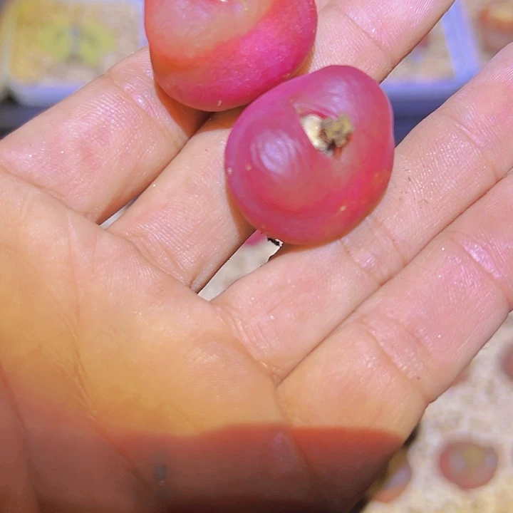 甜**?1111111111111225