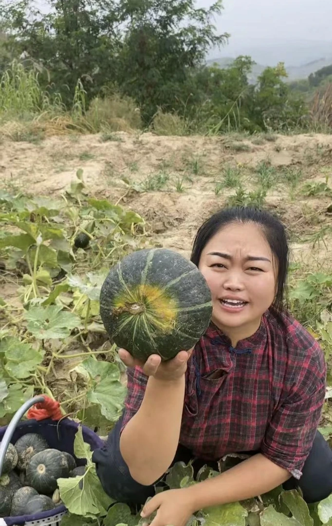 农家南瓜【二斤，五斤】