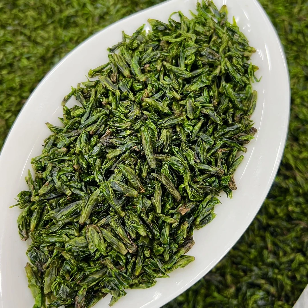 【宠粉福利】新茶头采嫩芽小叶苦丁茶早春米芽青山绿水绿茶