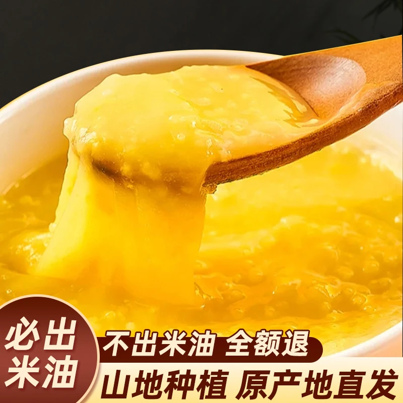 【荣荣家的山地新小米】| 陕北农家黄小米 1斤/3斤/5斤