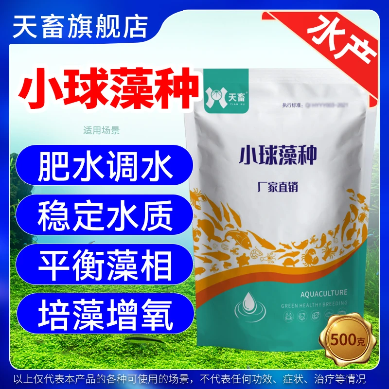 天畜水产养殖【小球藻原种】鱼虾蟹塘肥水培藻补藻调水净水厂家直销