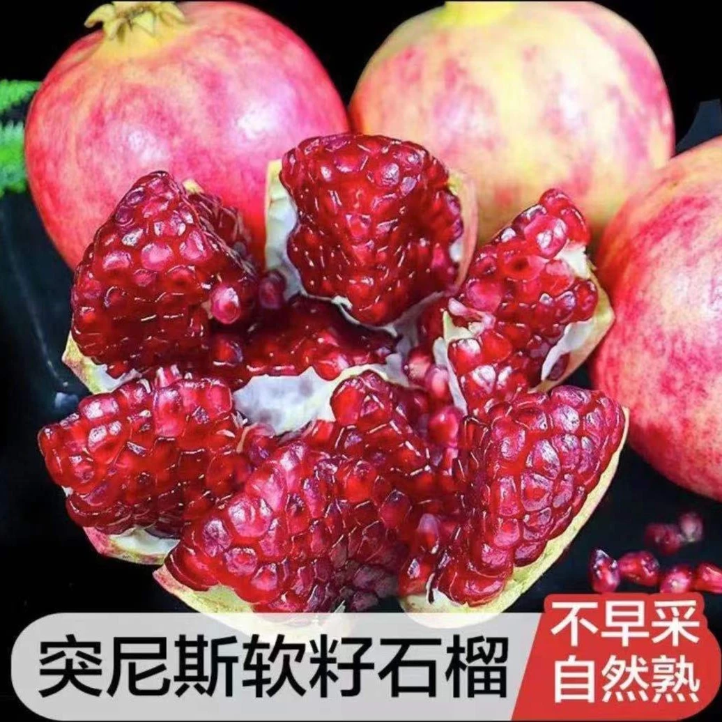 【花皮实惠装】会理大凉山石榴突尼斯软籽石榴应季水果8斤新鲜营养