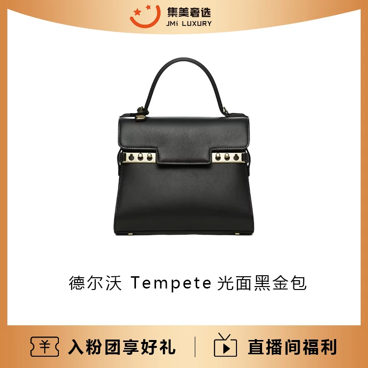 95新 Delvaux/德尔沃 Tempete光面黑金百搭包/97新/AB0205